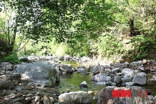 한반도 정중앙 강원 양구, 인적끊긴 반백년이 빚은 원시 생태비경