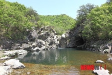 한반도 정중앙 강원 양구, 인적끊긴 반백년이 빚은 원시 생태비경