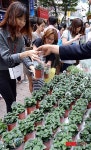 희망의 새싹 받아가세요