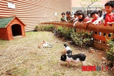 도심 속 동물농장