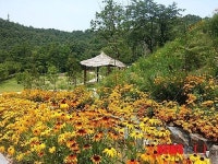 [그곳에 가면] 논산 양촌휴양림서 소소한 행복을 품다