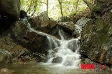 예천 명봉사(鳴鳳寺) 계곡, 여름 피서지로 각광