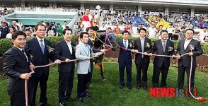 제10회 부산광역시장배 경마, 노바디캐치미 우승