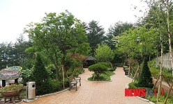 태백시, 노인요양시설 녹색공간 인기