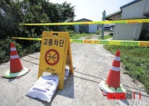 경북 고령 구제역 감영항체 검출 돼지농장 음성판정