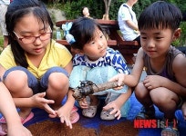 장수풍뎅이 신기해요