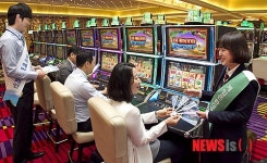 동남아카지노 ↑, 강원랜드↓