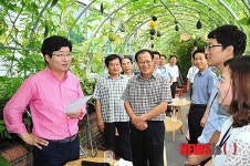 염태영 수원시장, 영통구청 작은 텃밭서 공감데이트