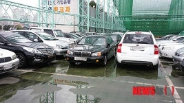 고양시 내 중고차 매매단지 상품용 차량 불법 전시
