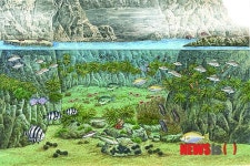 독도생태지도-해녀바위