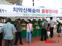 원주시, 23일 치악산 복숭아 축제