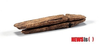 신창동 출토 나무집게