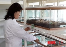 곤충 사육기술 연구하는 청주 농기센터