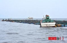 적조를 피해 공해로