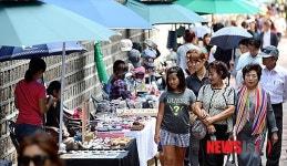 돌예공으로 물든 정돌길
