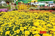 국화의 매력에 빠져보세요