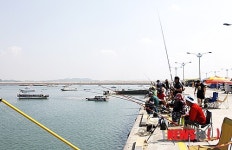 서산 삼길포항 강태공들 ‘북적’