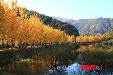 단풍으로 물든 괴산 양곡저수지