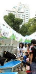 2014 도심 속 목장나들이 펼쳐진 분당중앙공원