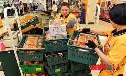 신선식품 철수시키는 이마트에브리데이