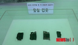 저수시설에서 출토된 옻칠갑옷