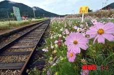 지금 하동 북천역에는