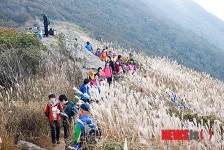 [가을 산행]국립자연휴양림 5선에 선정된 서해의 등대 오서산
