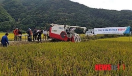 인제군, 친환경 벼 재배와 조사료 생산 동시 해결