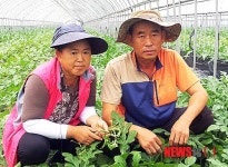 충북 이달의 새농민상 이명수씨 부부