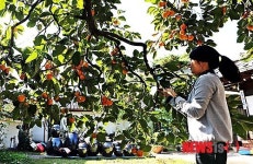 여심도 사로잡는 감