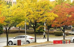 울긋불긋 단풍