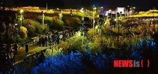 밤의 하늘공원 찾은 시민들