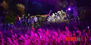 야간 하늘공원 만끽하는 시민들