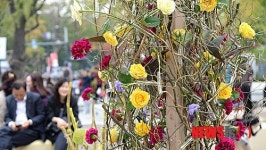 2014 국제 꽃장식대회