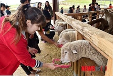 다문화가정 안성팜랜드 축산체험