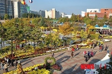 국화 가득한 중앙체육공원