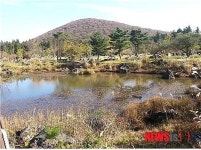 개장 2주년 붉은오름 자연휴양림 힐링장소 각광