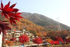 만추의 장령산휴양림