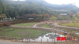 대전 대덕구, 습지 형태의 비점오염저감시설 준공