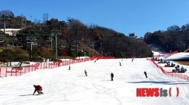 대명비발디파크 스키월드 개장