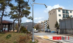 춘천시, 횡단보도·교차로 야간 투광등 추가 설치