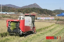 전국 최초 2기작 벼베기