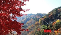 늦은 가을 고불사 풍경