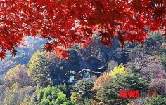 늦은 가을 고불사 풍경