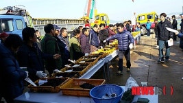 충남 서해안 청정김 생산 시동…평균 소득 1억 기대