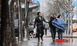 눈보라에 우산도 무용지물
