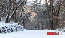 송계사 가는 길