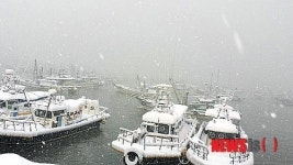 거센 눈발 내리는 군산 비응항