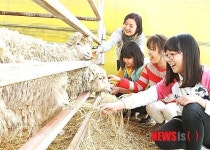 [뉴시스 앵글]양처럼 승승장구하세요