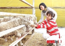 [뉴시스 앵글]양처럼 승승장구하세요